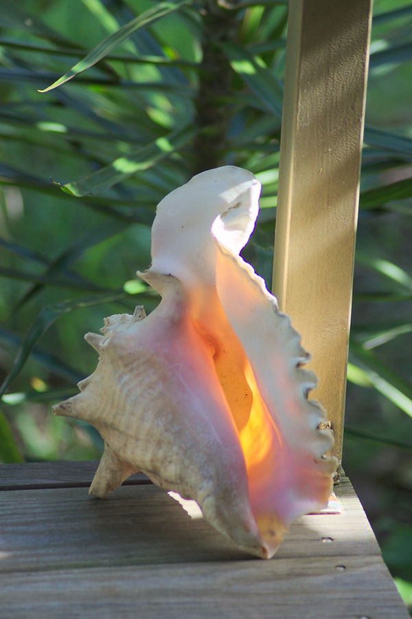 Chambre avec lit king size